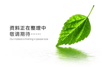 資料正在整理中....